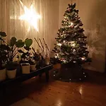 Cinderella's Holiday home