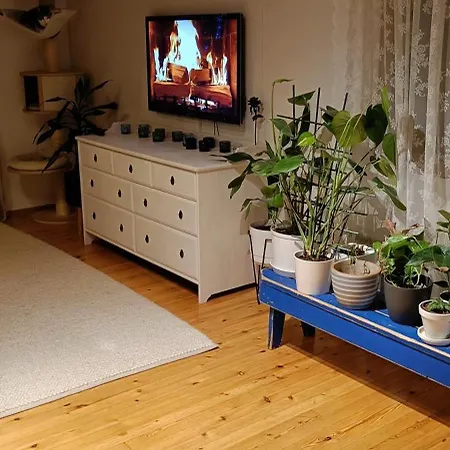 Cinderella's بيت للعطل