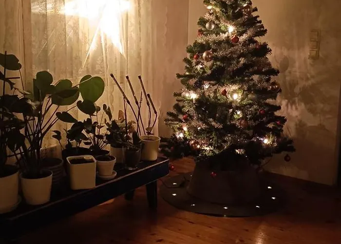 Cinderella's Feriehus