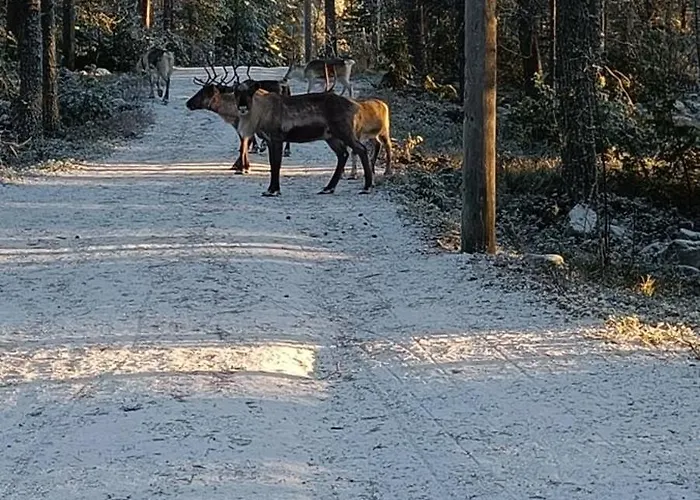 Cinderella's Rovaniemi